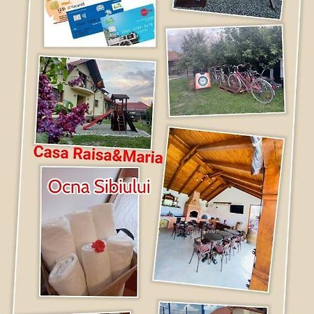 Hotel Casa Raisa & Maria Ocna Sibiului Exterior foto