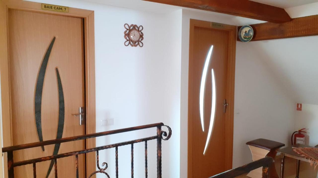 Hotel Casa Raisa & Maria Ocna Sibiului Exterior foto