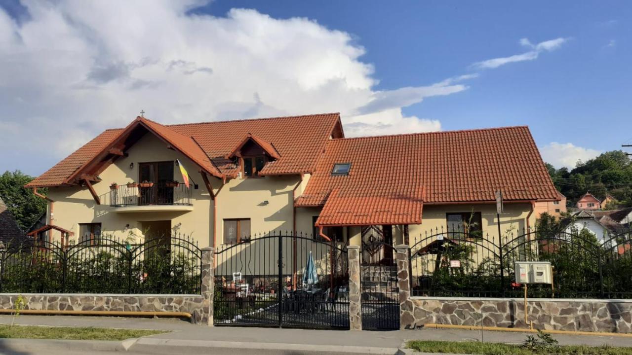 Hotel Casa Raisa & Maria Ocna Sibiului Exterior foto