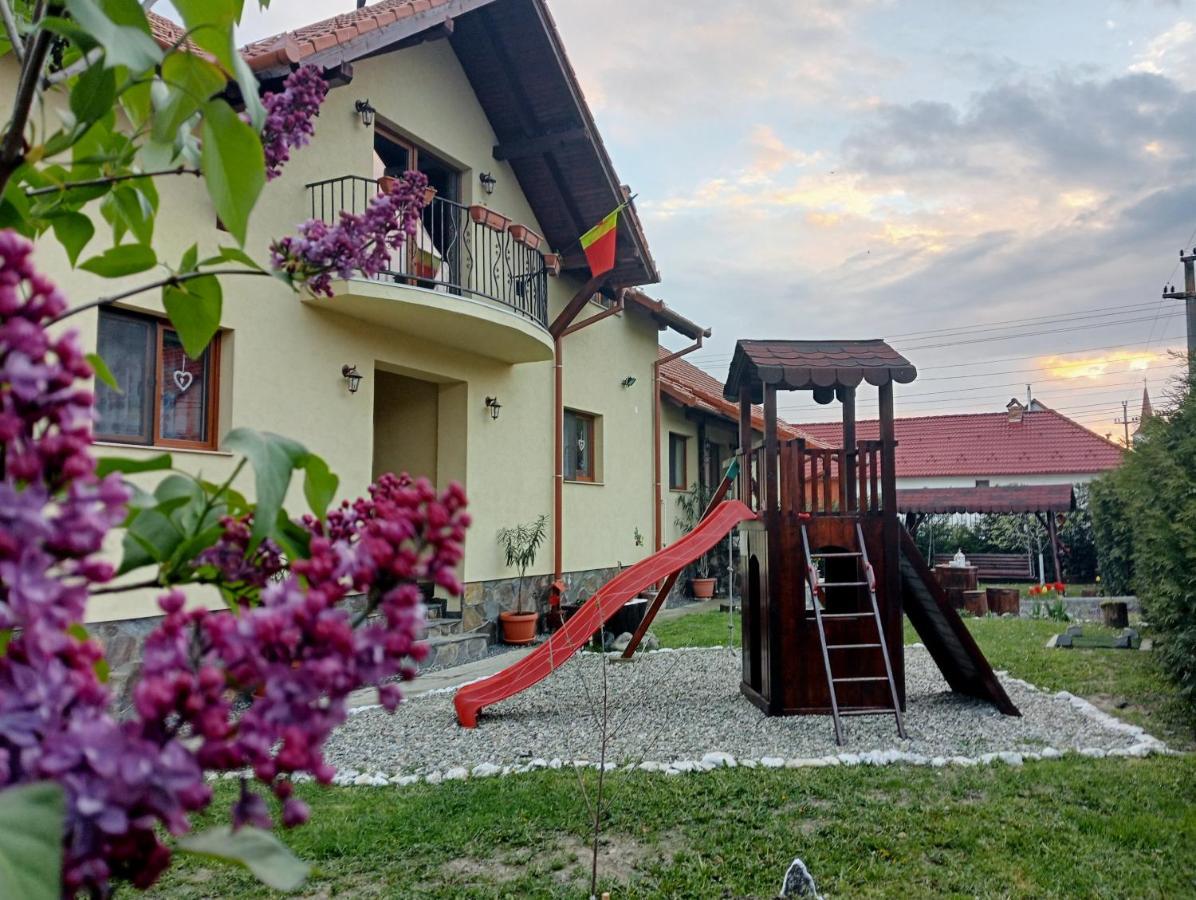 Hotel Casa Raisa & Maria Ocna Sibiului Exterior foto