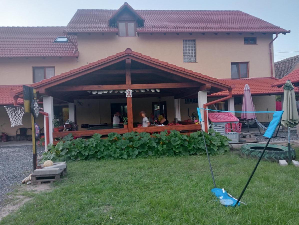 Hotel Casa Raisa & Maria Ocna Sibiului Exterior foto