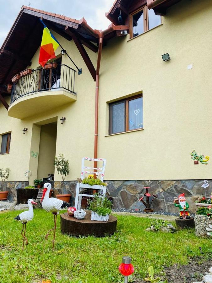 Hotel Casa Raisa & Maria Ocna Sibiului Exterior foto